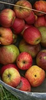 Bio appels, Tuin en Terras, Ophalen