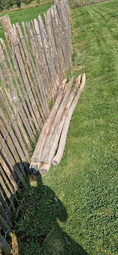 Acasia palen gepeld en gepunt - 200cm - kastanjepalen, Tuin en Terras, Palen, Balken en Planken, Zo goed als nieuw, Palen, Ophalen