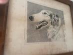 Tekening van hond  oud, Antiek en Kunst, Kunst | Tekeningen en Fotografie, Ophalen