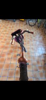 Ik verkoop mijn elektrisch fiets, Fietsen en Brommers, Ophalen