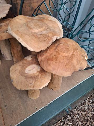 Grote teak houten paddestoelen set! Telkens 3 stuks!  beschikbaar voor biedingen