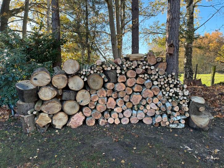 Brandhout tekoop, Tuin en Terras, Brandhout, Ophalen