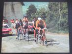 wielerkaart 1971 team molteni  eddy merckx  agostinho, Zo goed als nieuw, Verzenden