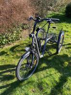 Tricycle électrique Evasion quasi neuf démontable, Vélos & Vélomoteurs, Enlèvement, Comme neuf, Évasion Damius, Siège réglable
