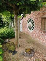 Uniek huis te koop, Immo, Huizen en Appartementen te koop, Vrijstaande woning, Verkoop zonder makelaar, Provincie Limburg, 190 m²