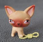 Kleinste dierenwinkel, Chihuahua (#1), Ophalen, Gebruikt