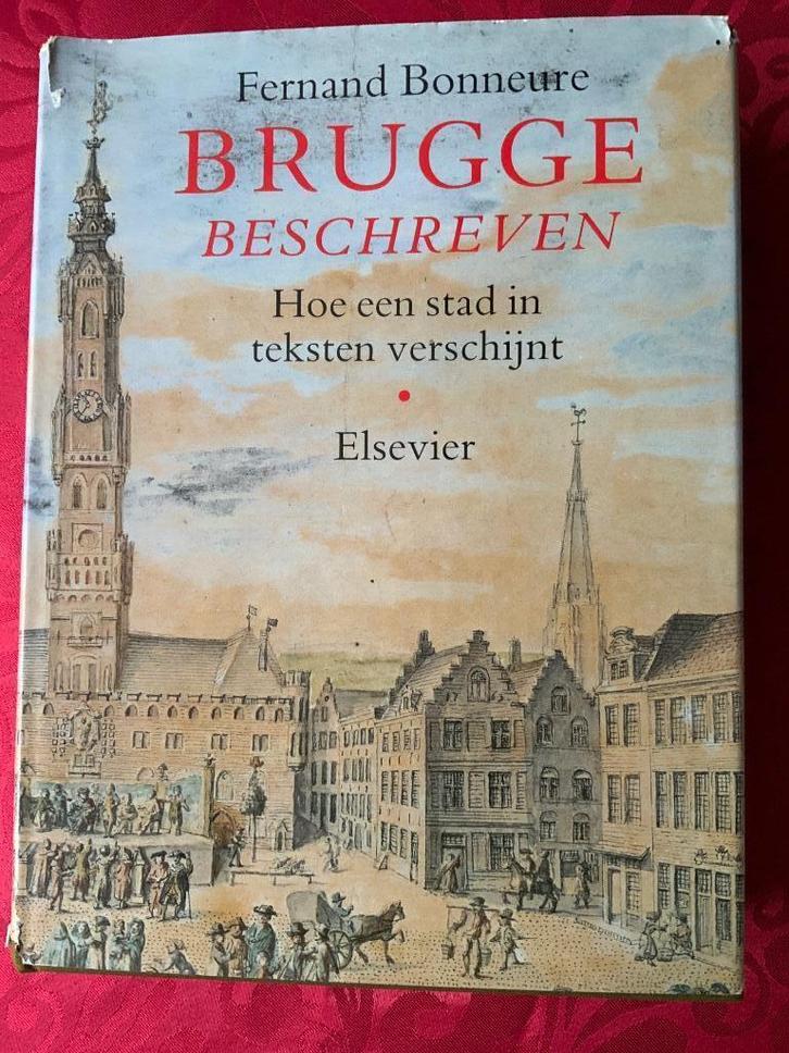 Brugge beschreven, Boeken, Geschiedenis | Stad en Regio, Zo goed als nieuw, 14e eeuw of eerder, Ophalen of Verzenden