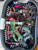 Harnas voor honden, Enlèvement ou Envoi, Comme neuf