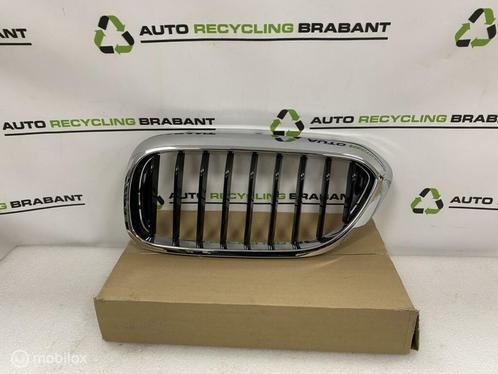 Grill Nier Links BMW 5 Serie G30 G31 M-PAKKET 51137390863, Auto-onderdelen, Carrosserie, BMW, Gebruikt, Ophalen of Verzenden