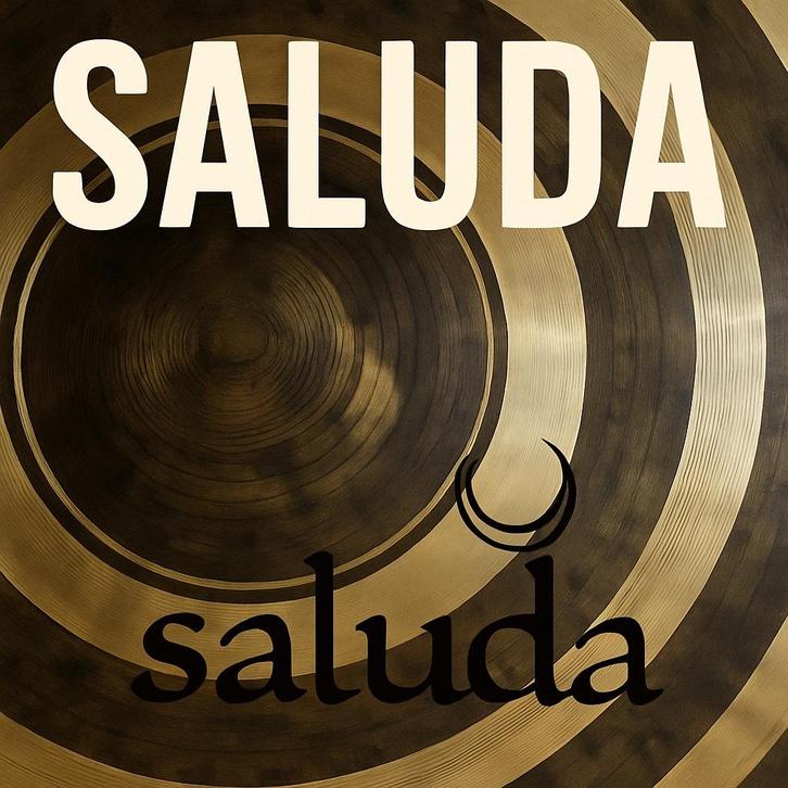 Saluda Cymbals – Crash/Ride & Splash – From €75, Muziek en Instrumenten, Instrumenten | Onderdelen, Zo goed als nieuw, Drums of Percussie