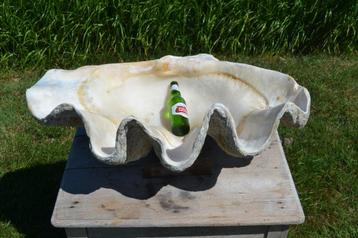prachtige grote doopvontschelp van 65kg, Ophalen