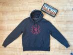 Sweat a capuche Tommy Hilfiger, Vêtements | Hommes, Pulls & Vestes, Enlèvement ou Envoi, Porté
