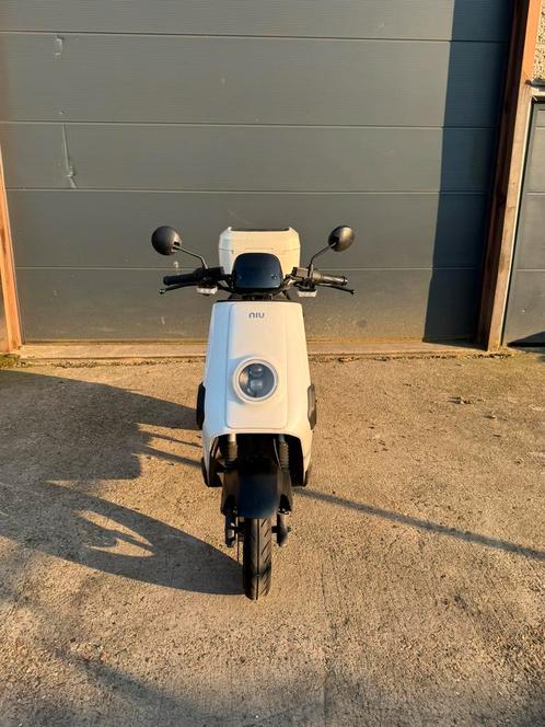 Niu N Cargo, Vélos & Vélomoteurs, Scooters | Marques Autre, Comme neuf, Enlèvement