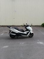 honda forza 300CC 2016, 279 cc, Scooter, 12 t/m 35 kW, Particulier