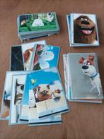 Panini Pets, 161 autocollants différents, Enlèvement ou Envoi, Comme neuf
