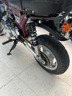 Prachtige B-klasse Bordeaux Dax Zhenhua, 4 vitesses, 49 cm³, Comme neuf, Classe B (45 km/h)