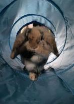 Tunel de jeux, Enfants & Bébés, Enlèvement ou Envoi, Utilisé