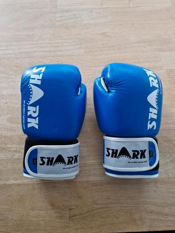 Shark bokshandschoenen 14oz beschikbaar voor biedingen
