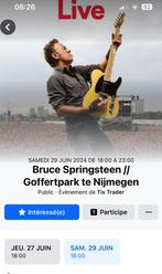 Place de concert pour  Bruce Springsteen, Tickets & Billets, Trois personnes ou plus, Juin
