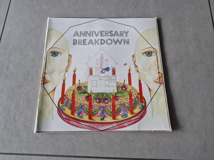 Anniversary breakdown - 20 jaar Jazzclub Het Veerhuis, Boeken, Muziek, Gelezen, Artiest, Ophalen of Verzenden