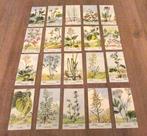 Serie 2, 3, 4, 5, 7 - Herba kleurplaatjes kruiden, Natuur, 1980 tot heden, Nieuw, Ophalen of Verzenden