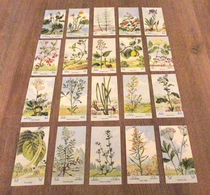 Serie 2, 3, 4, 5, 7 - Herba kleurplaatjes kruiden, Collections, Photos & Gravures, Neuf, Gravure, Nature, 1980 à nos jours, Enlèvement ou Envoi