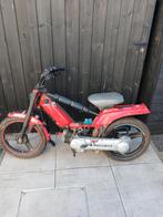 Peugeot Fox, Enlèvement, Fox