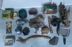 Lot accessoires et décorations reptiles/gecko, Ophalen, Gebruikt