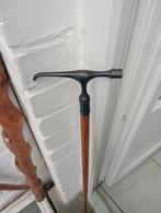 Professionele wandelstok (mineraloog)
