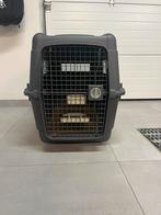 AniOne transportbox L, Dieren en Toebehoren, Ophalen, Nieuw