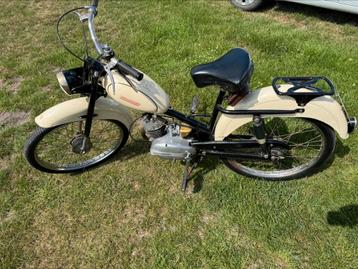 Grillo gitan, Enlèvement, Classe B (45 km/h), 49 cm³, Autres marques