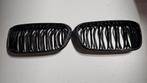 M Performance Grille Carbon zwart BMW 1 serie F20 F21 LCi, Auto-onderdelen, Ophalen of Verzenden, Gebruikt, BMW