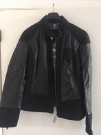 Veste de motard Cool Philipp Plein pour femme taille XL, Vêtements | Femmes, Comme neuf, Noir, Taille 46/48 (XL) ou plus grande