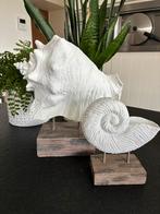 Decoratie schelpen, Huis en Inrichting, Ophalen, Zo goed als nieuw
