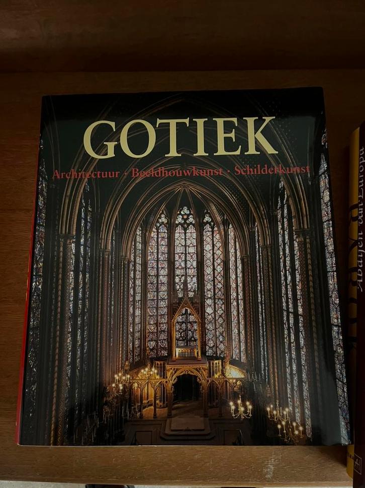 De kunst van de gotiek, Boeken, Kunst en Cultuur | Architectuur, Zo goed als nieuw, Architecten, Ophalen