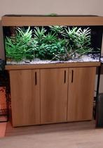 Mooi compleet aquarium te koop, Dieren en Toebehoren, Ophalen