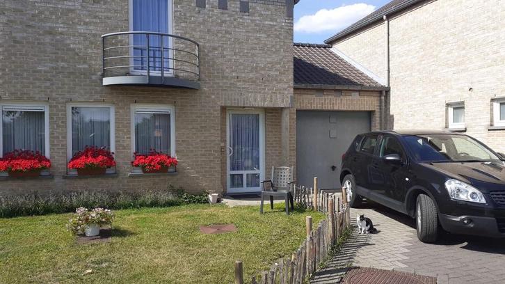 Opvang huisdieren, Diensten en Vakmensen, Dieren | Honden | Verzorging, Oppas en Les, Particuliere oppas