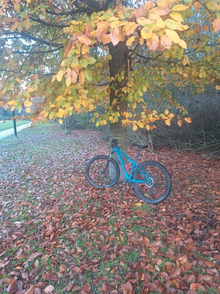 MTB Trek Marlin 5, Fietsen en Brommers, Fietsaccessoires | Fietsenrekken, Gebruikt, Ophalen