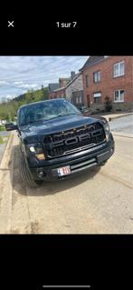 Ford F-150, Auto's, Dodge, Particulier, Te koop