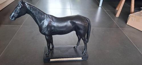 Antiek paard plaaster model anatomisch slagerij, Antiek en Kunst, Curiosa en Brocante, Ophalen