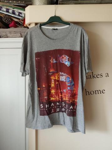 heren t,-shirt xxl met print, Verzenden, Zo goed als nieuw, Overige maten, Grijs