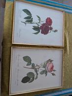 2 kaders, Neuf, Moins de 50 cm, Synthétique, Enlèvement