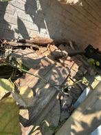 Brandhout gratis, Tuin en Terras, Brandhout, Ophalen