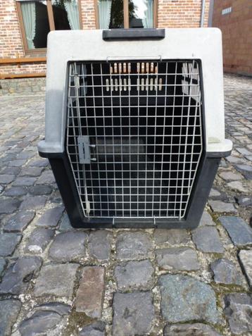 Grote hondenbench. beschikbaar voor biedingen