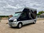 2008 Renault Master Paardencamionette, Auto's, Gebruikt, Renault, Overige brandstoffen, Bedrijf