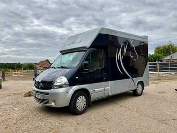 2008 Renault Master Paardencamionette beschikbaar voor biedingen