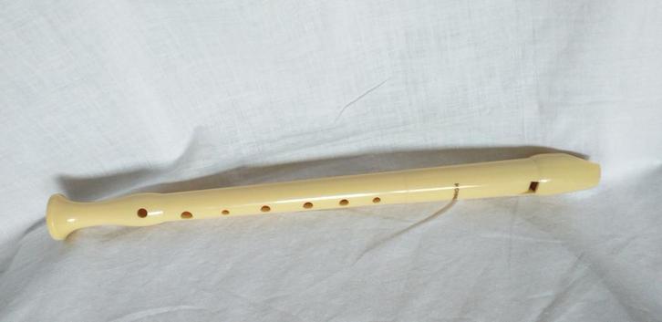 Hohner-recorder, Muziek en Instrumenten, Blaasinstrumenten | Blokfluiten, Gebruikt, Ophalen of Verzenden