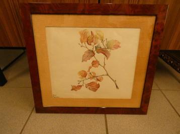 aquarel en tekening "takje".gesigneerd : Eliot Hodgkin beschikbaar voor biedingen