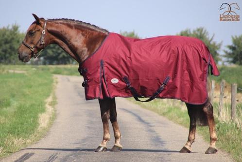 Profi-Rider regendeken burgundy fleece gevoerd 175 tm 215 SA, Animaux & Accessoires, Chevaux & Poneys | Couvertures & Couvre-reins