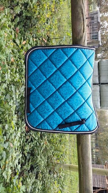 Shiny blauwe zadeldoek cob beschikbaar voor biedingen